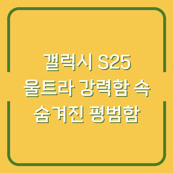 갤럭시 S25 울트라 강력함 속 숨겨진 평범함
