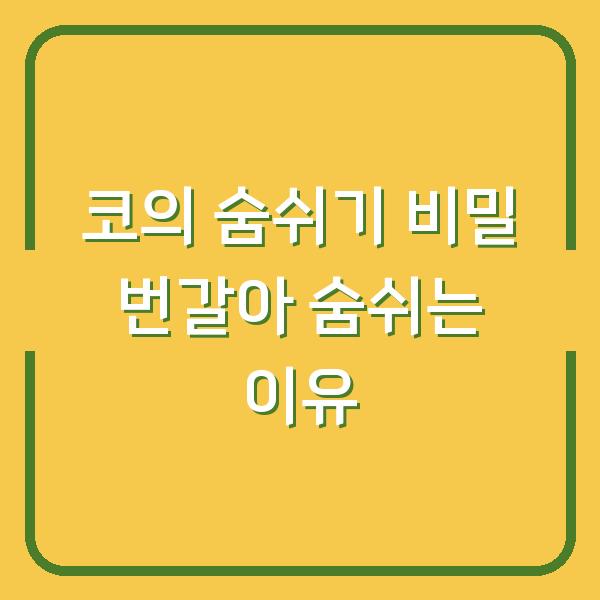 코의 숨쉬기 비밀 번갈아 숨쉬는 이유