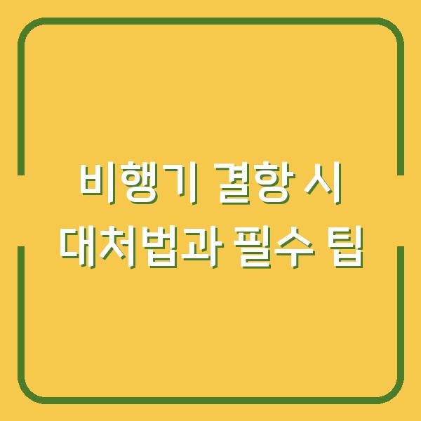 비행기 결항 시 대처법과 필수 팁