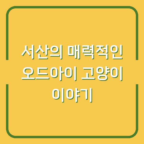 서산의 매력적인 오드아이 고양이 이야기