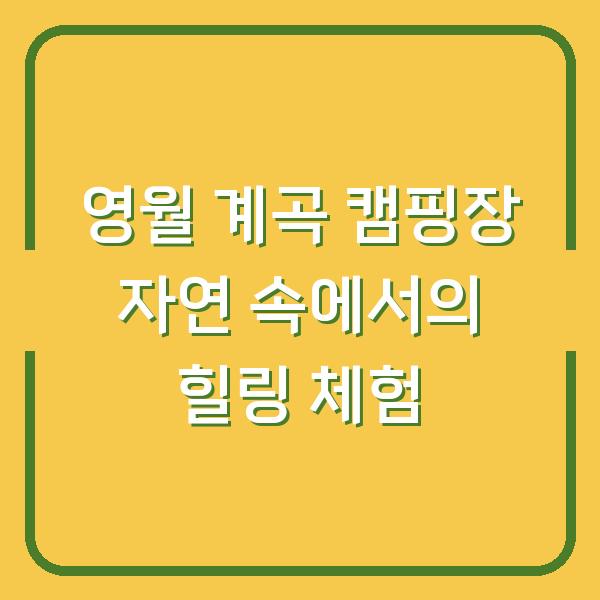 영월 계곡 캠핑장 자연 속에서의 힐링 체험