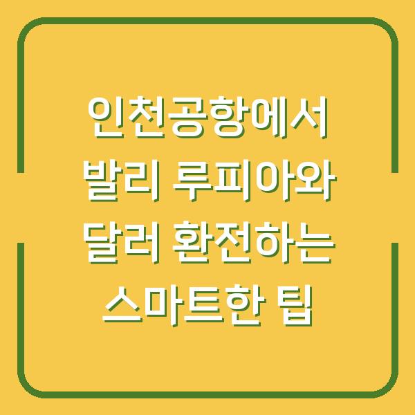 인천공항에서 발리 루피아와 달러 환전하는 스마트한 팁