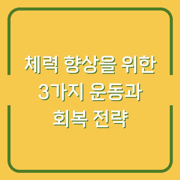 체력 향상을 위한 3가지 운동과 회복 전략