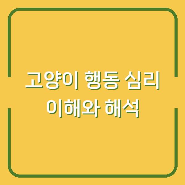 고양이 행동 심리 이해와 해석