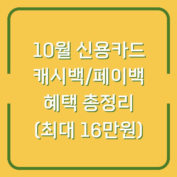 10월 신용카드 캐시백/페이백 혜택 총정리 (최대 16만원)