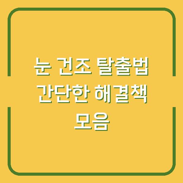 눈 건조 탈출법 간단한 해결책 모음