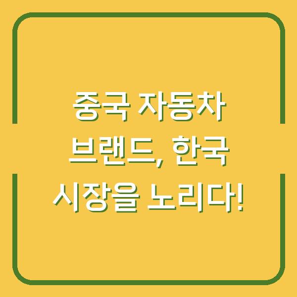 중국 자동차 브랜드, 한국 시장을 노리다!
