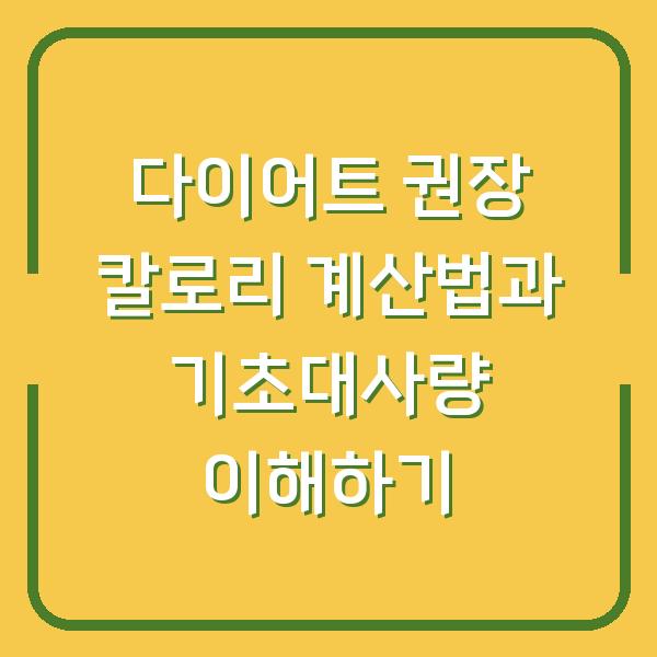 다이어트 권장 칼로리 계산법과 기초대사량 이해하기