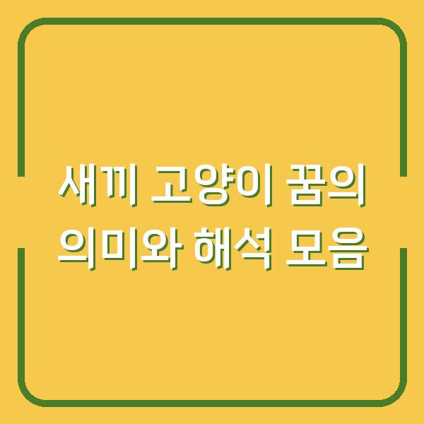 새끼 고양이 꿈의 의미와 해석 모음