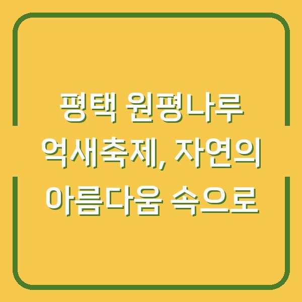 평택 원평나루 억새축제, 자연의 아름다움 속으로