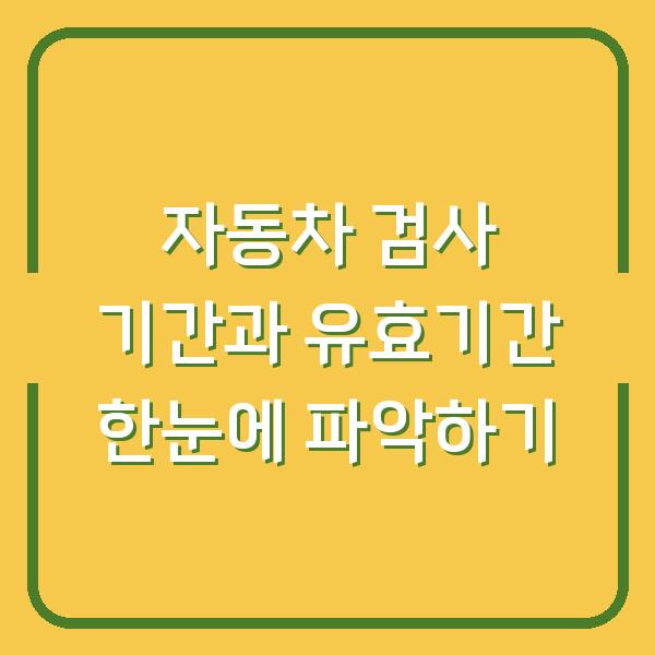 자동차 검사 기간과 유효기간 한눈에 파악하기