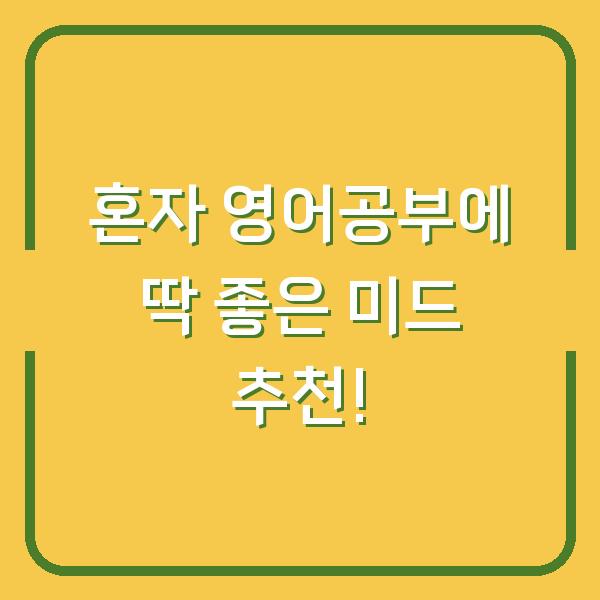 혼자 영어공부에 딱 좋은 미드 추천!