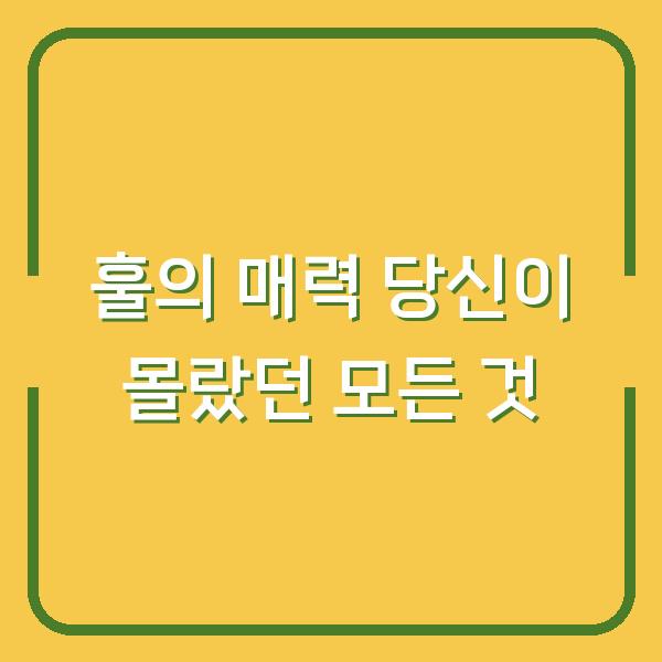 훌의 매력 당신이 몰랐던 모든 것