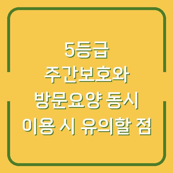 5등급 주간보호와 방문요양 동시 이용 시 유의할 점