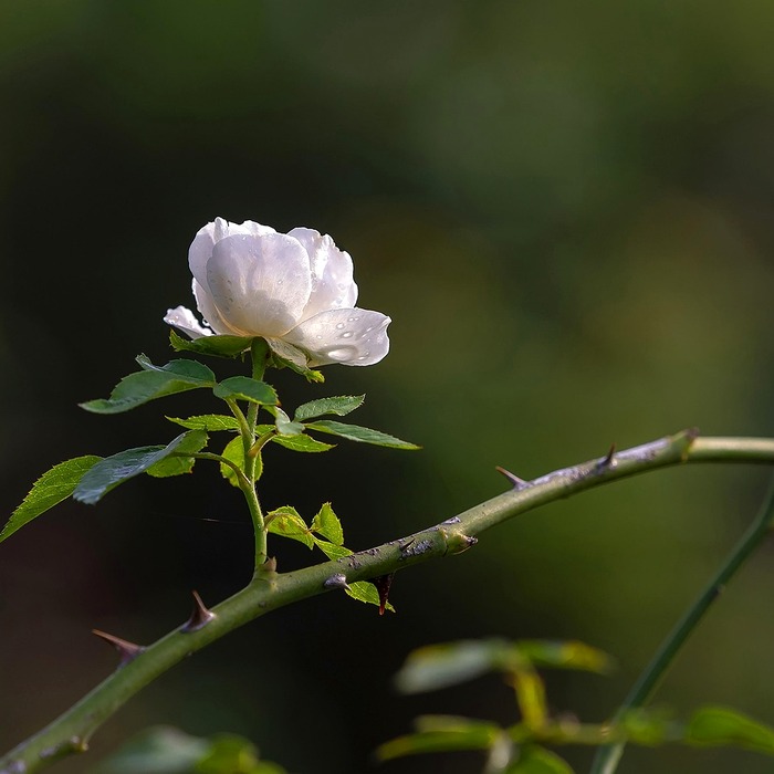 특수 검사 종류