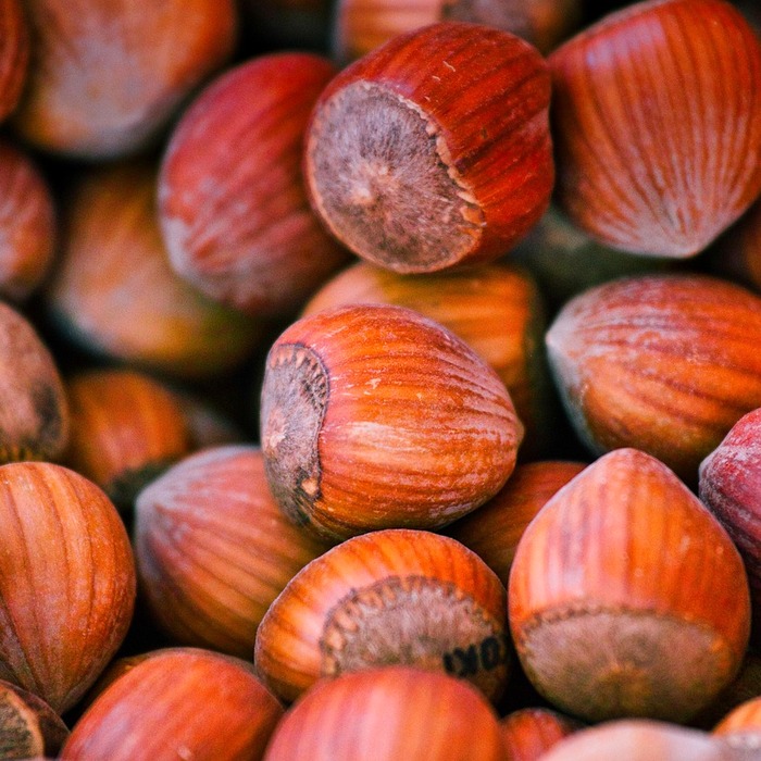 나트륨 섭취