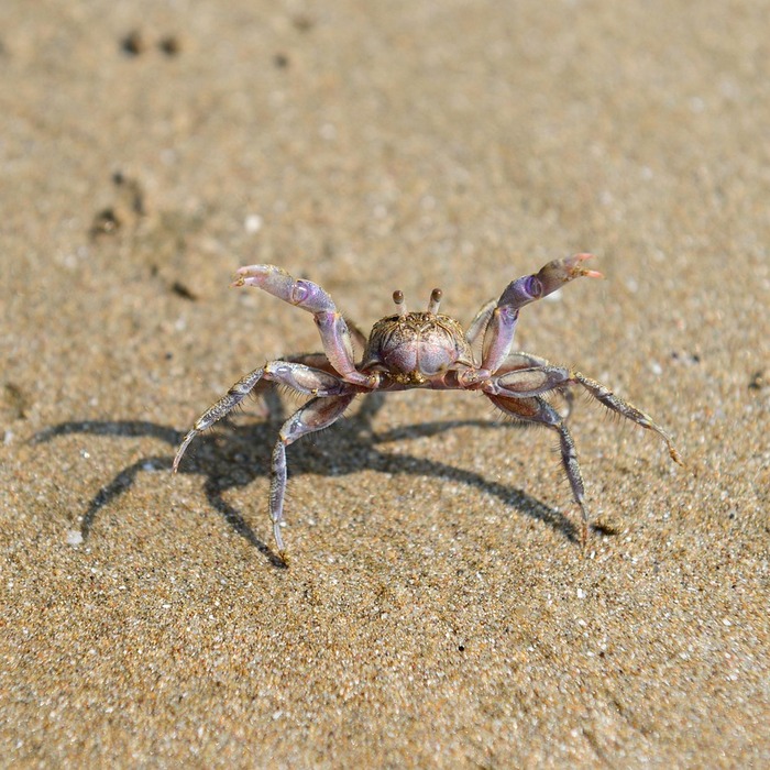 선재도 해수욕장