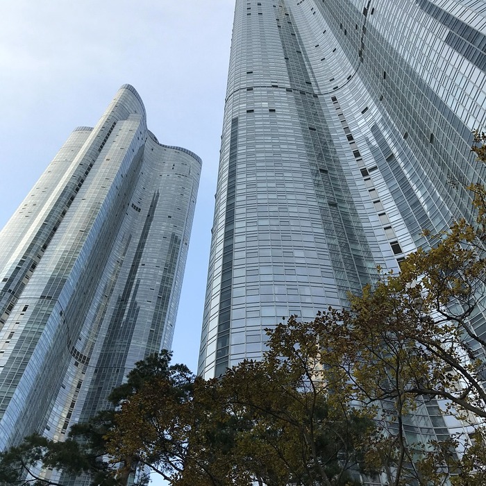 직장인 건강보험