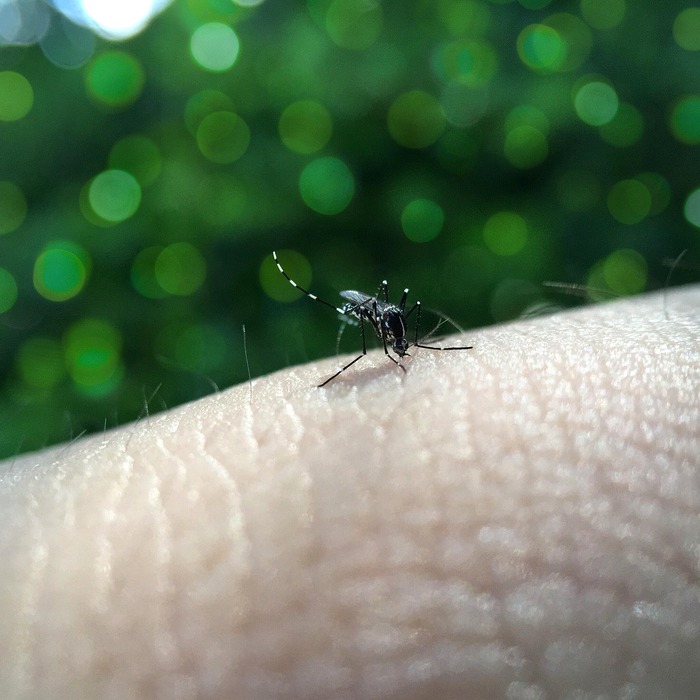 발열 증상