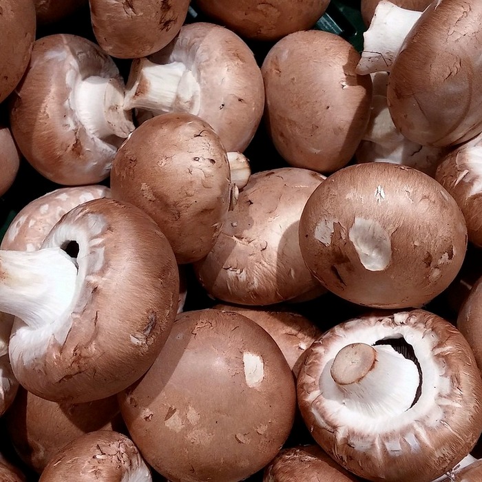 저지방 음식