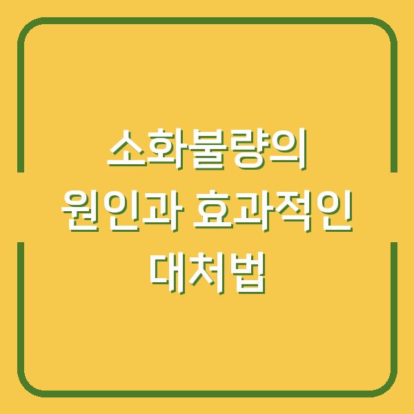 소화불량의 원인과 효과적인 대처법