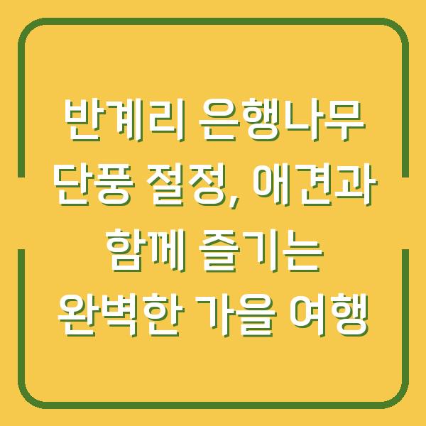 반계리 은행나무 단풍 절정, 애견과 함께 즐기는 완벽한 가을 여행
