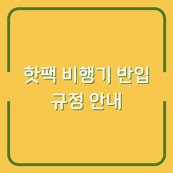 핫팩 비행기 반입 규정 안내