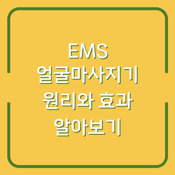EMS 얼굴마사지기 원리와 효과 알아보기