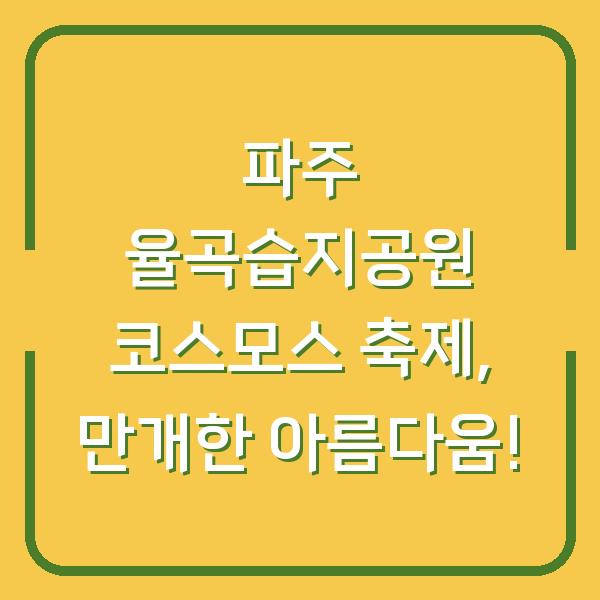 파주 율곡습지공원 코스모스 축제, 만개한 아름다움!