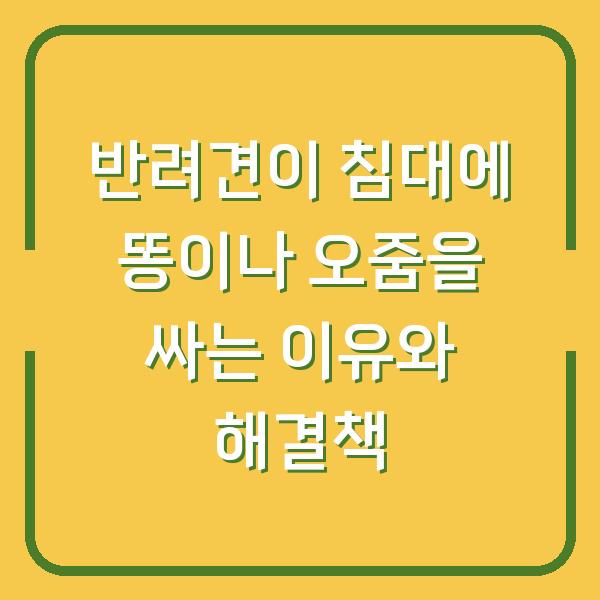 반려견이 침대에 똥이나 오줌을 싸는 이유와 해결책