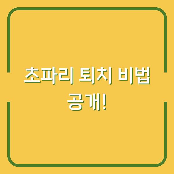 초파리 퇴치 비법 공개!