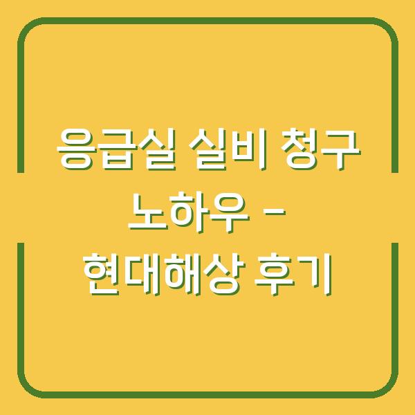 응급실 실비 청구 노하우 – 현대해상 후기