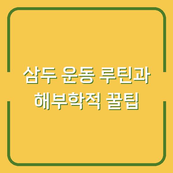 삼두 운동 루틴과 해부학적 꿀팁