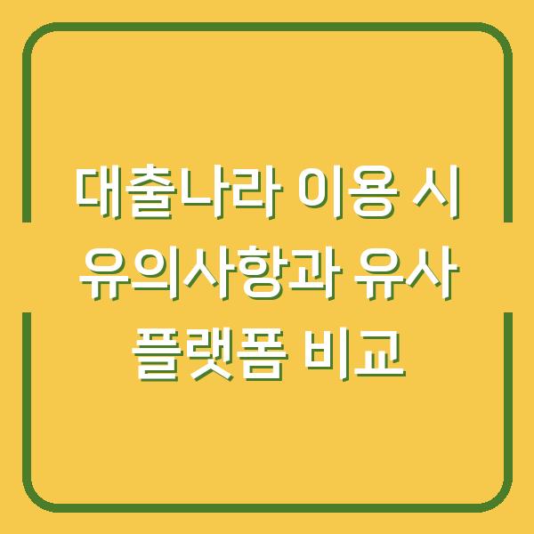 대출나라 이용 시 유의사항과 유사 플랫폼 비교