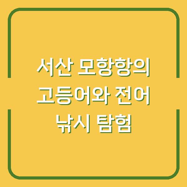 서산 모항항의 고등어와 전어 낚시 탐험