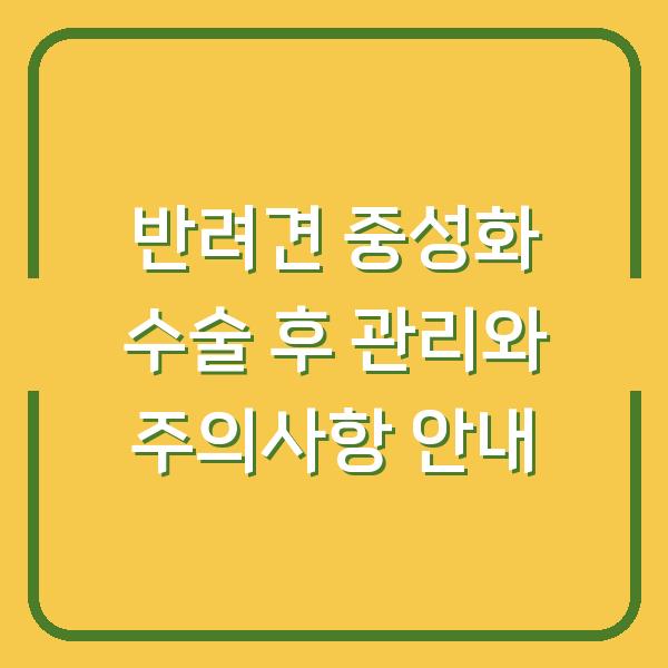 반려견 중성화 수술 후 관리와 주의사항 안내