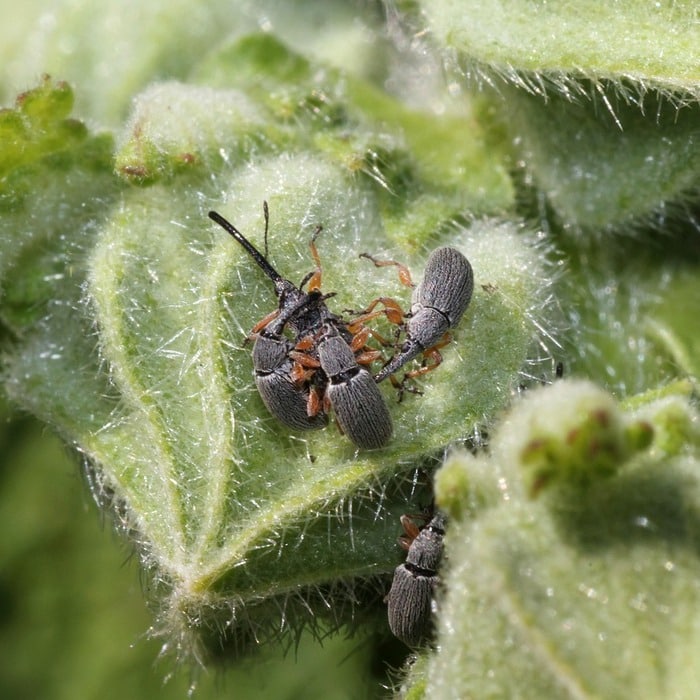삼성전자 주가 동향