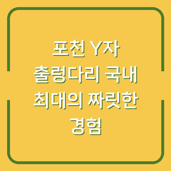 포천 Y자 출렁다리 국내 최대의 짜릿한 경험
