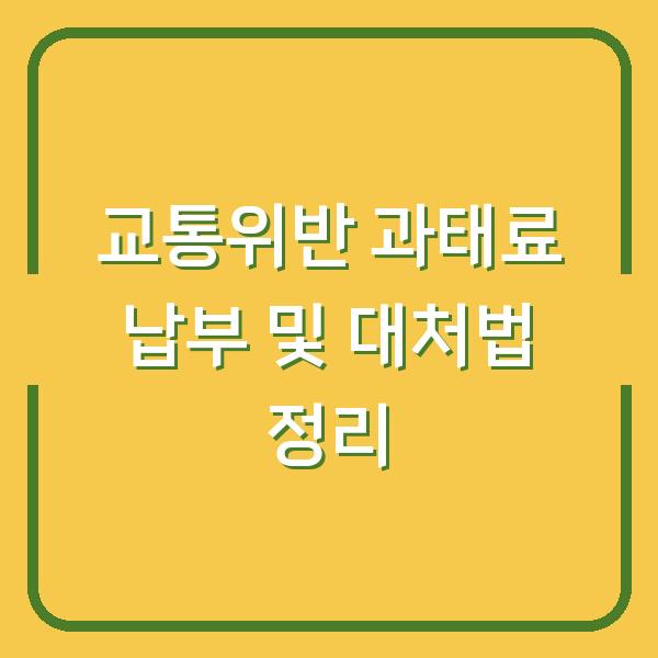 교통위반 과태료 납부 및 대처법 정리