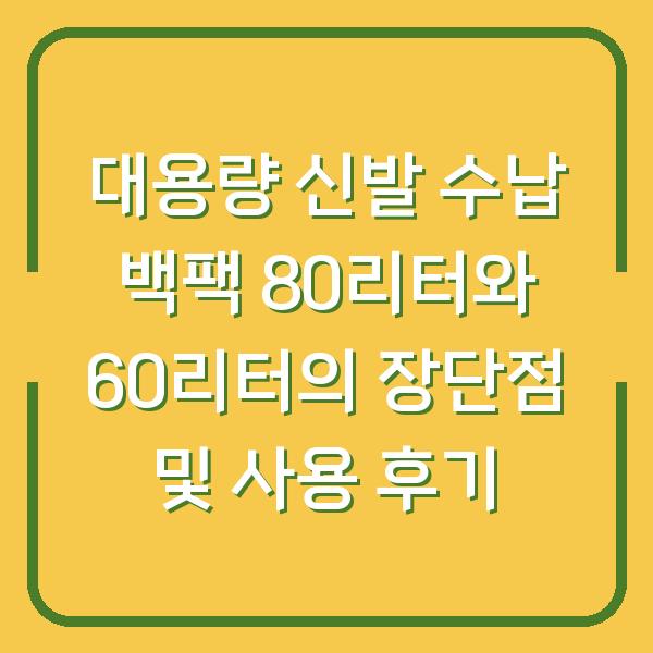 대용량 신발 수납 백팩 80리터와 60리터의 장단점 및 사용 후기