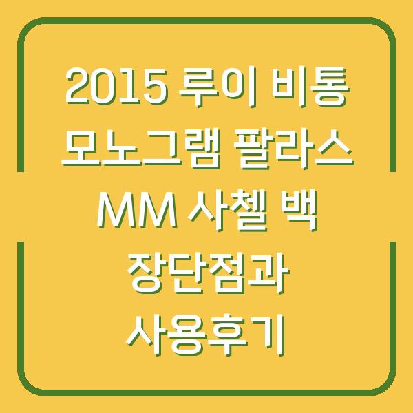 2015 루이 비통 모노그램 팔라스 MM 사첼 백 장단점과 사용후기