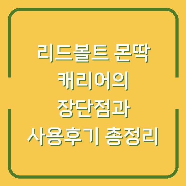 리드볼트 몬딱 캐리어의 장단점과 사용후기 총정리