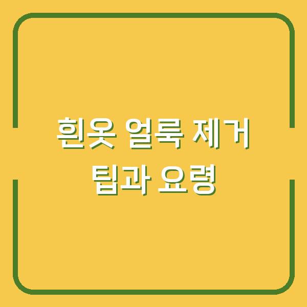흰옷 얼룩 제거 팁과 요령