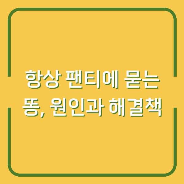 항상 팬티에 묻는 똥, 원인과 해결책