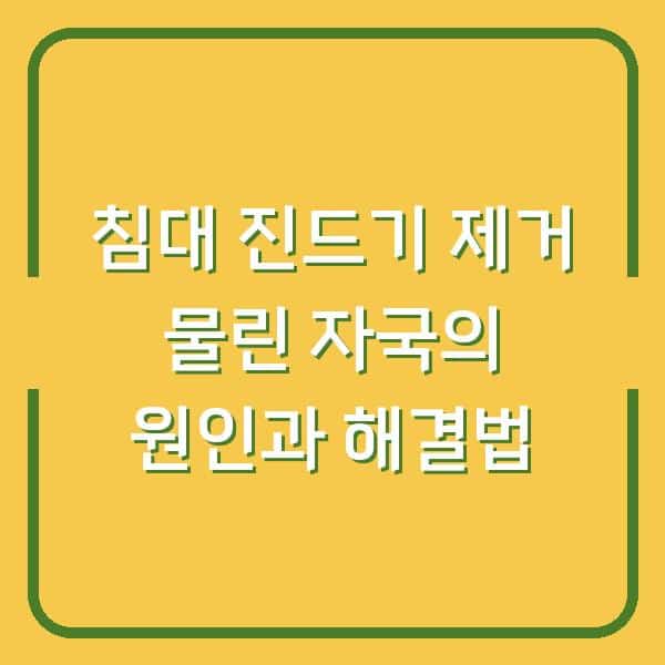 침대 진드기 제거 물린 자국의 원인과 해결법