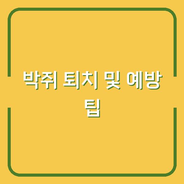 박쥐 퇴치 및 예방 팁