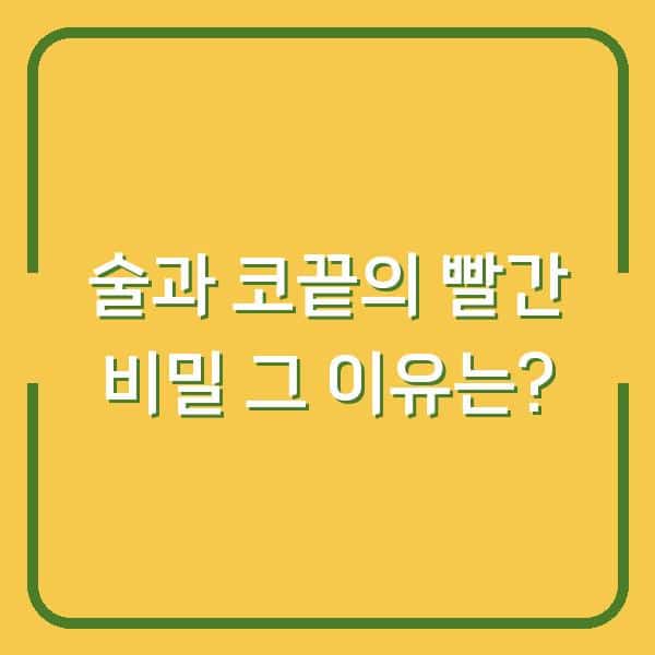 술과 코끝의 빨간 비밀 그 이유는?