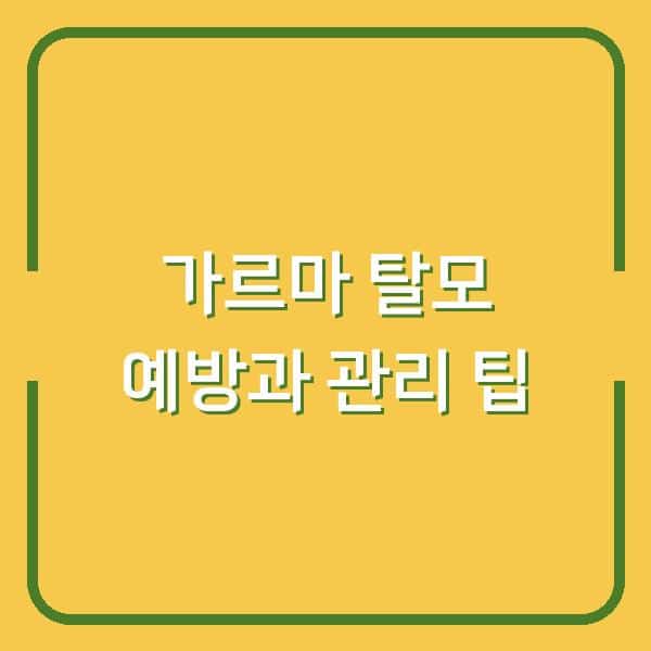 가르마 탈모 예방과 관리 팁