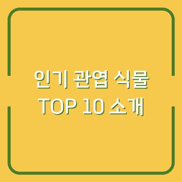 인기 관엽 식물 TOP 10 소개