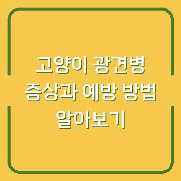 고양이 광견병 증상과 예방 방법 알아보기